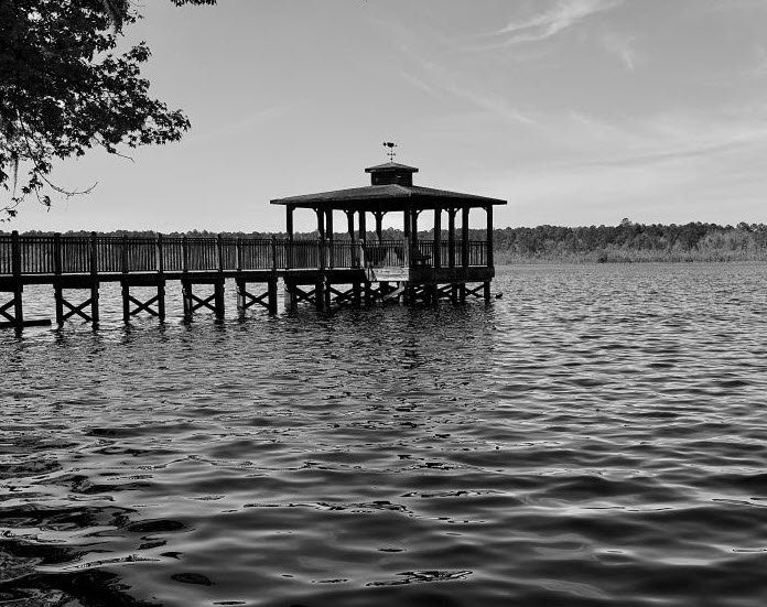 Lake Warren State Park, South Carolina, USA